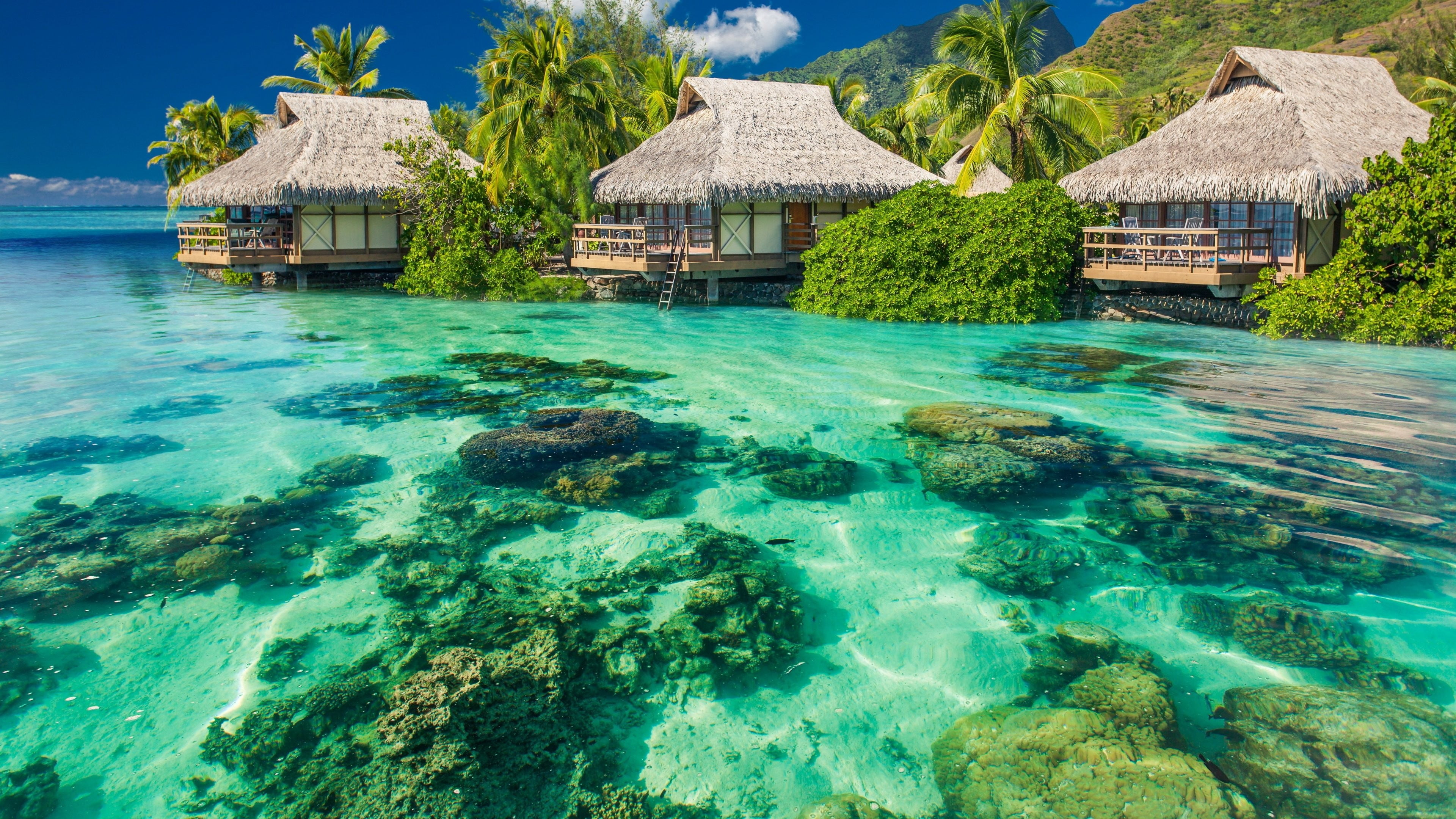 three brown huts with clear body of water