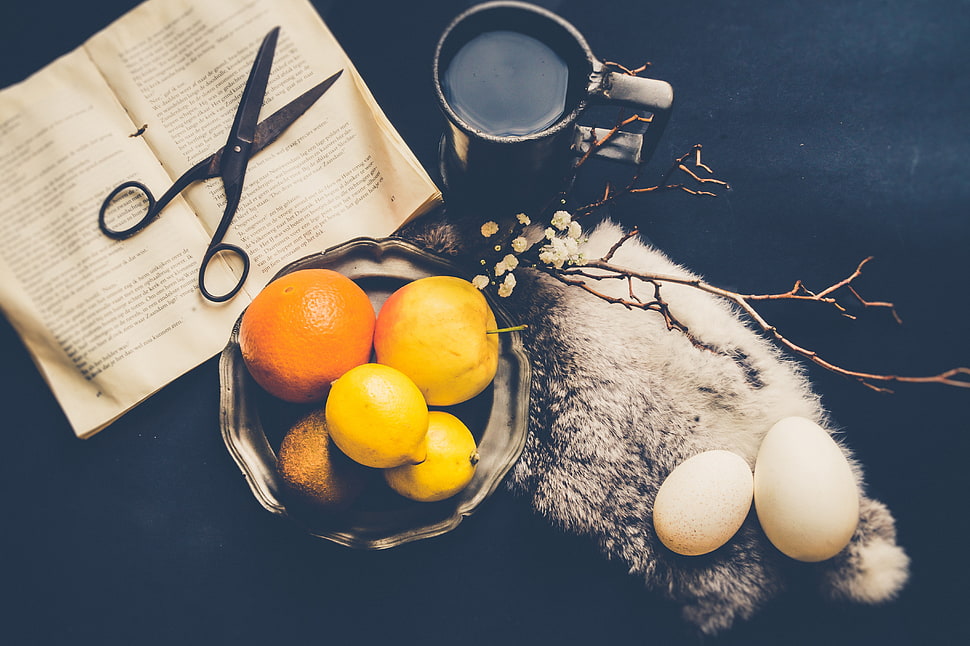 orange citrus fruits, Fruit, Book, Scissors HD wallpaper