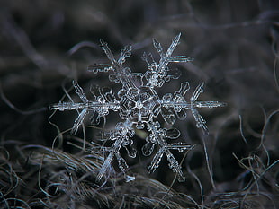 snow flakes