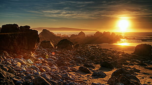 stony seashore during daytime