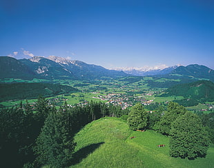 bird's-eye view photography of trees, landscape, Austria, nature