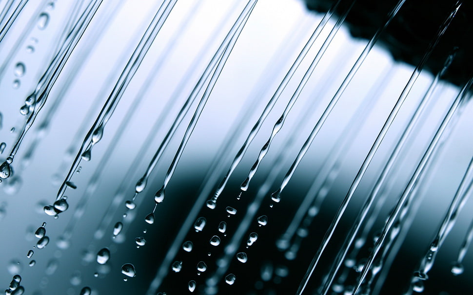 water dew photo HD wallpaper