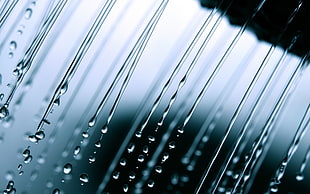 water dew photo