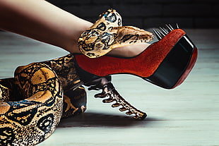 brown and black snake, legs, feet, high heels, snake HD wallpaper
