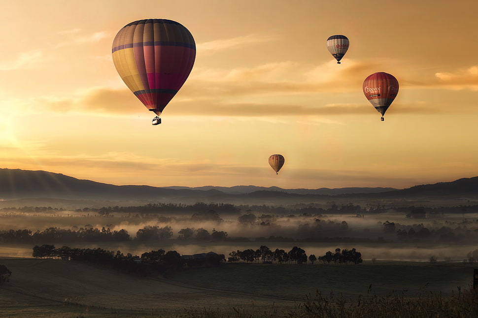 four red and yellow air balloon photography HD wallpaper