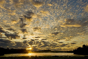golden hour with body of water HD wallpaper