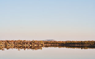 body of water during day time HD wallpaper