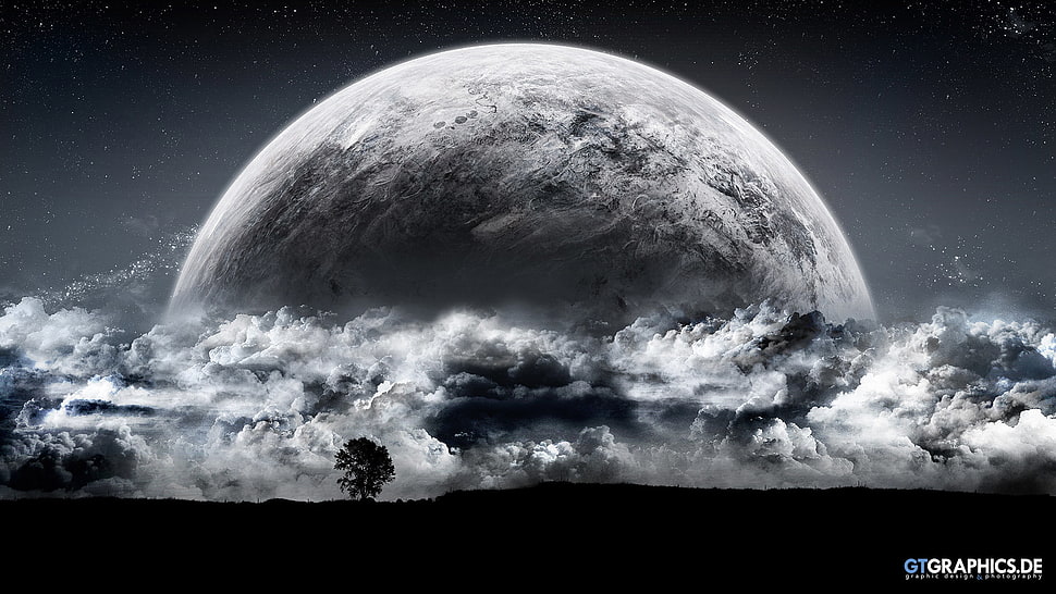 tree silhouette under the moon HD wallpaper