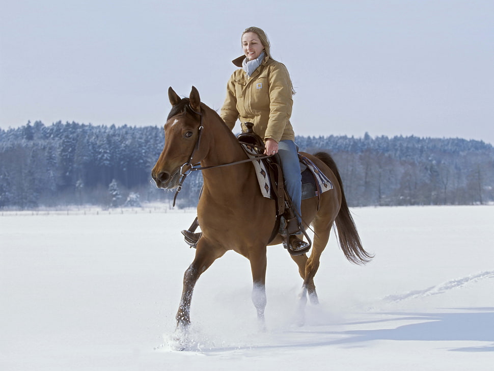 woman wearing brown leather jacket and blue denim jeans riding in brown horse during winter HD wallpaper