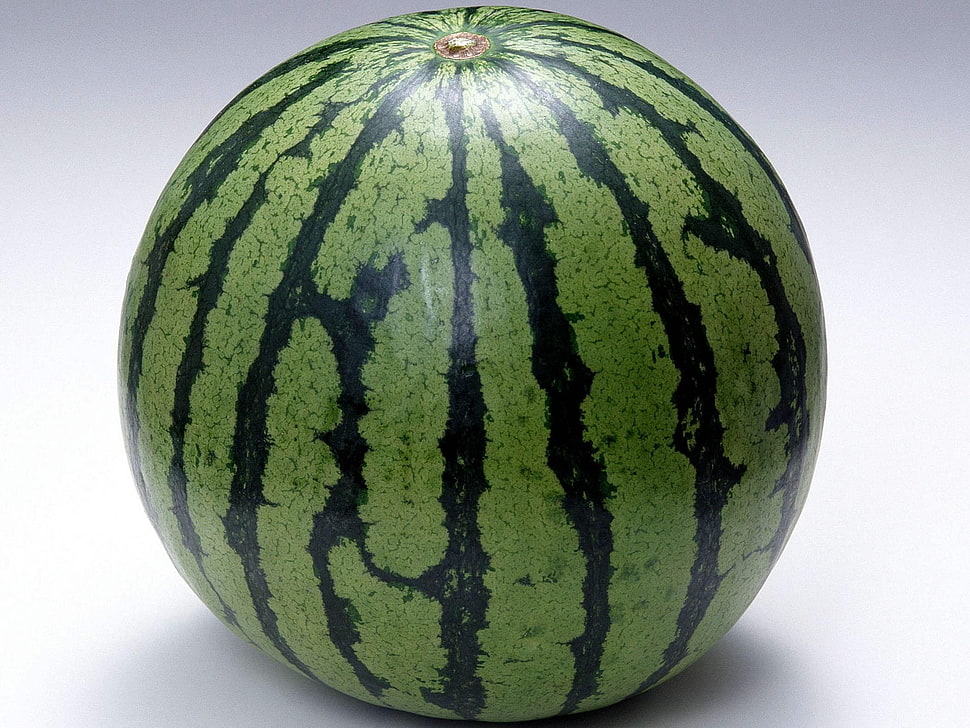 watermelon fruit close-up photo HD wallpaper