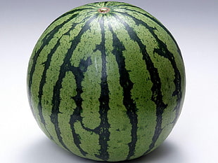watermelon fruit close-up photo