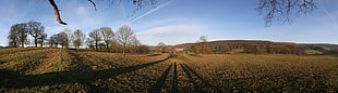 panoramic photography of trees near mountain during daytime, chatsworth house