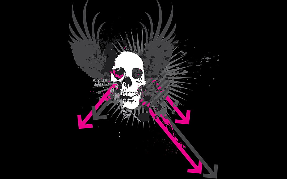 skull wing art, black background, grunge, skull, vector art HD wallpaper