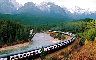 black and white train beside running water during daytime HD wallpaper