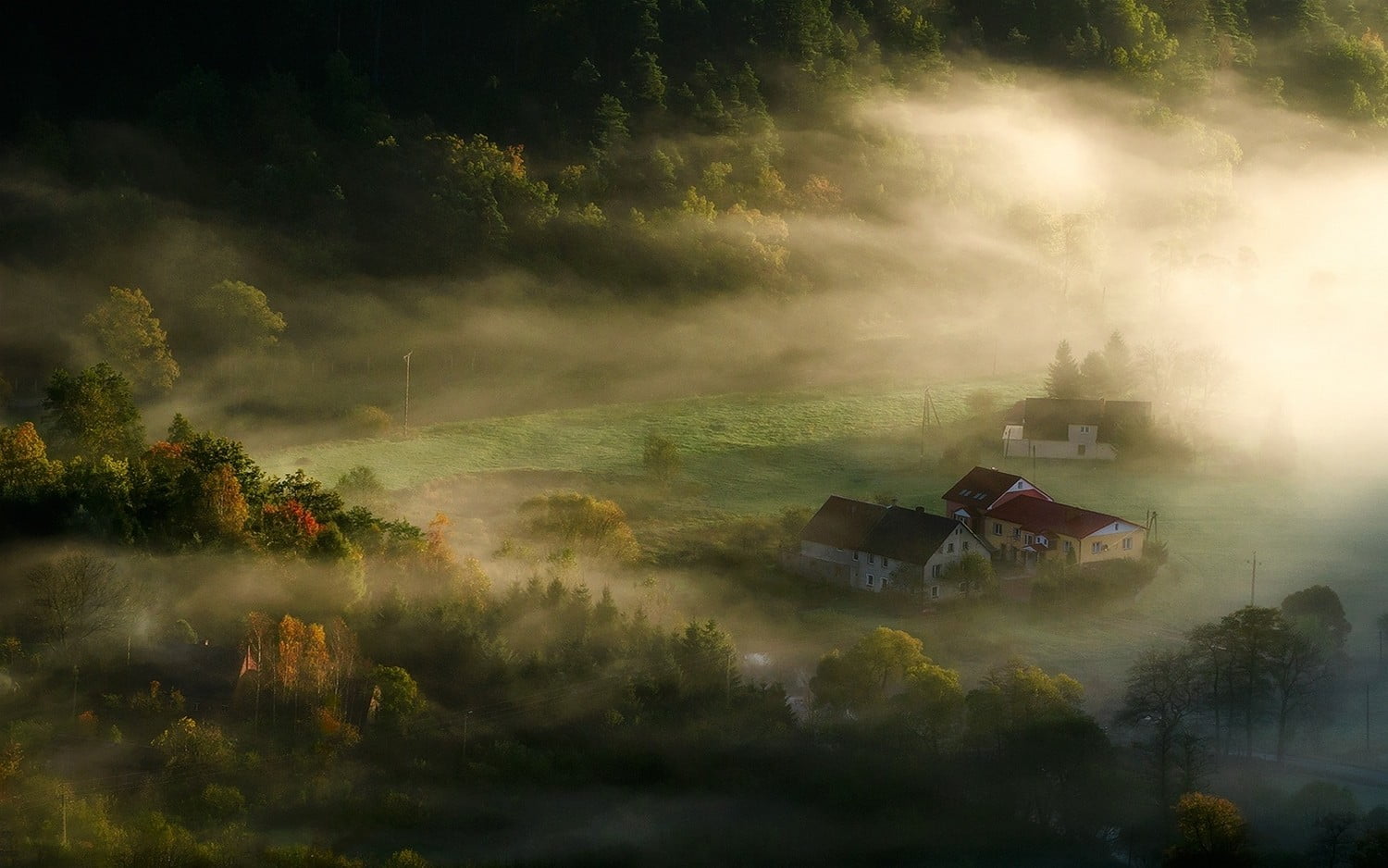 red and white house wallpaper, nature, landscape, village, mist