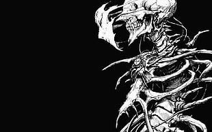 human skeleton digital wallpaper, skull, face, bones, drawing HD wallpaper