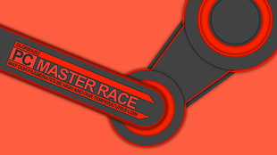 PC Master Race illustration, PC gaming, Steam (software), minimalism, Master Race