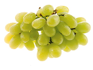 cluster of green grapes