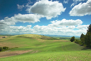 landscape photo of green field and trees