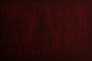 red and white area rug