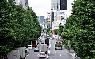 road with vehicles beside trees and buildings during daytoime
