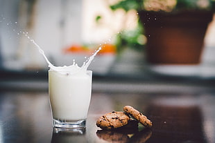 two chocolate dip cookies beside glass of milk