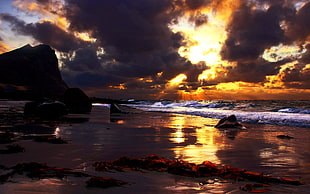 silhouette seashore near body of water HD wallpaper