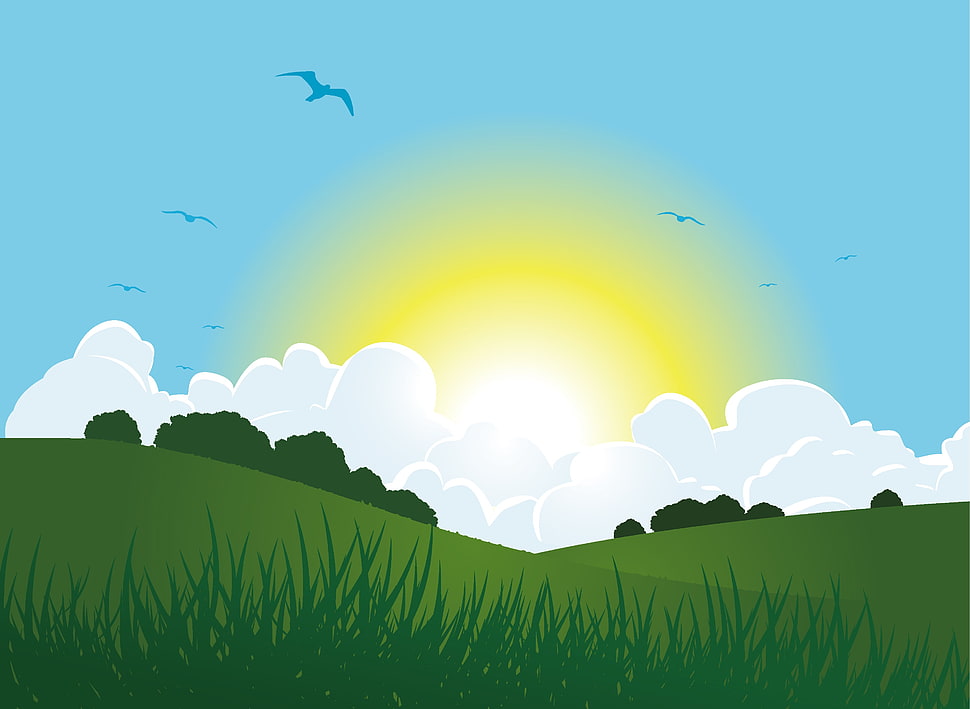 flying birds on air illustration, Sun, clouds, grass, vector art HD wallpaper