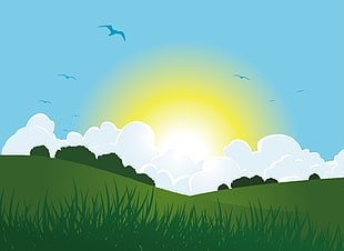 flying birds on air illustration, Sun, clouds, grass, vector art