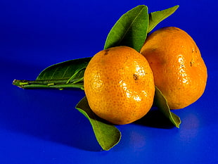 two orange fruits