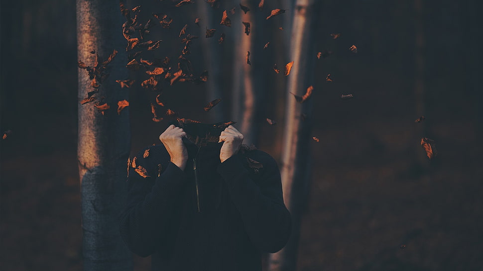 men's black zip-up jacket, headless, leaves, fall HD wallpaper