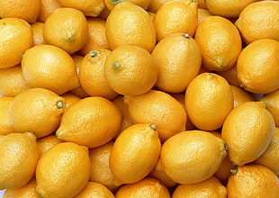 ripe lemon fruits HD wallpaper