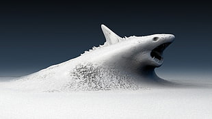 gray shark-themed digital wallpaper, shark