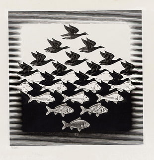 fish and bird wall decor, artwork, optical illusion, drawing, M. C. Escher HD wallpaper