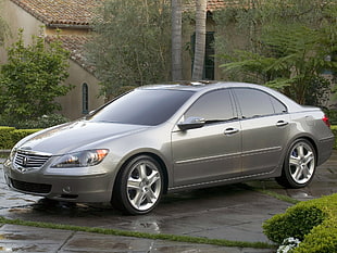 silver Acura RLX sedan parked on gray concrete surface near green leaf plants