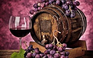 brown wooden barrel and grapes painting