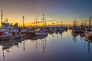 white and brown motor boats docked during sunrise