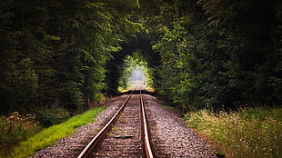 train rail track photography HD wallpaper