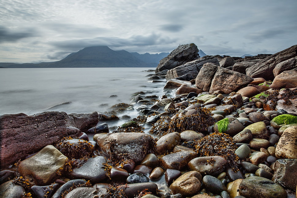 brown stones beside sea shore HD wallpaper