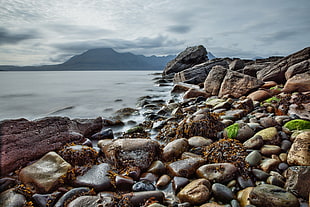 brown stones beside sea shore