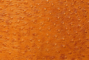 Texture,  Leather,  Fabric