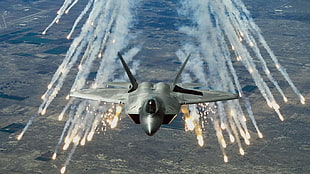 gray jet plane, jets, Lockheed Martin, F-22 Raptor, aircraft