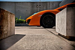 orange sports car on the pavement HD wallpaper