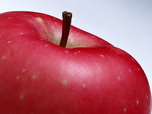 closeup photo of red apple