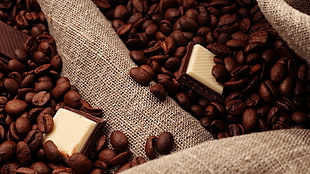 brown coffee bean HD wallpaper