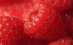 raspberries, food, raspberries, fruit, macro HD wallpaper