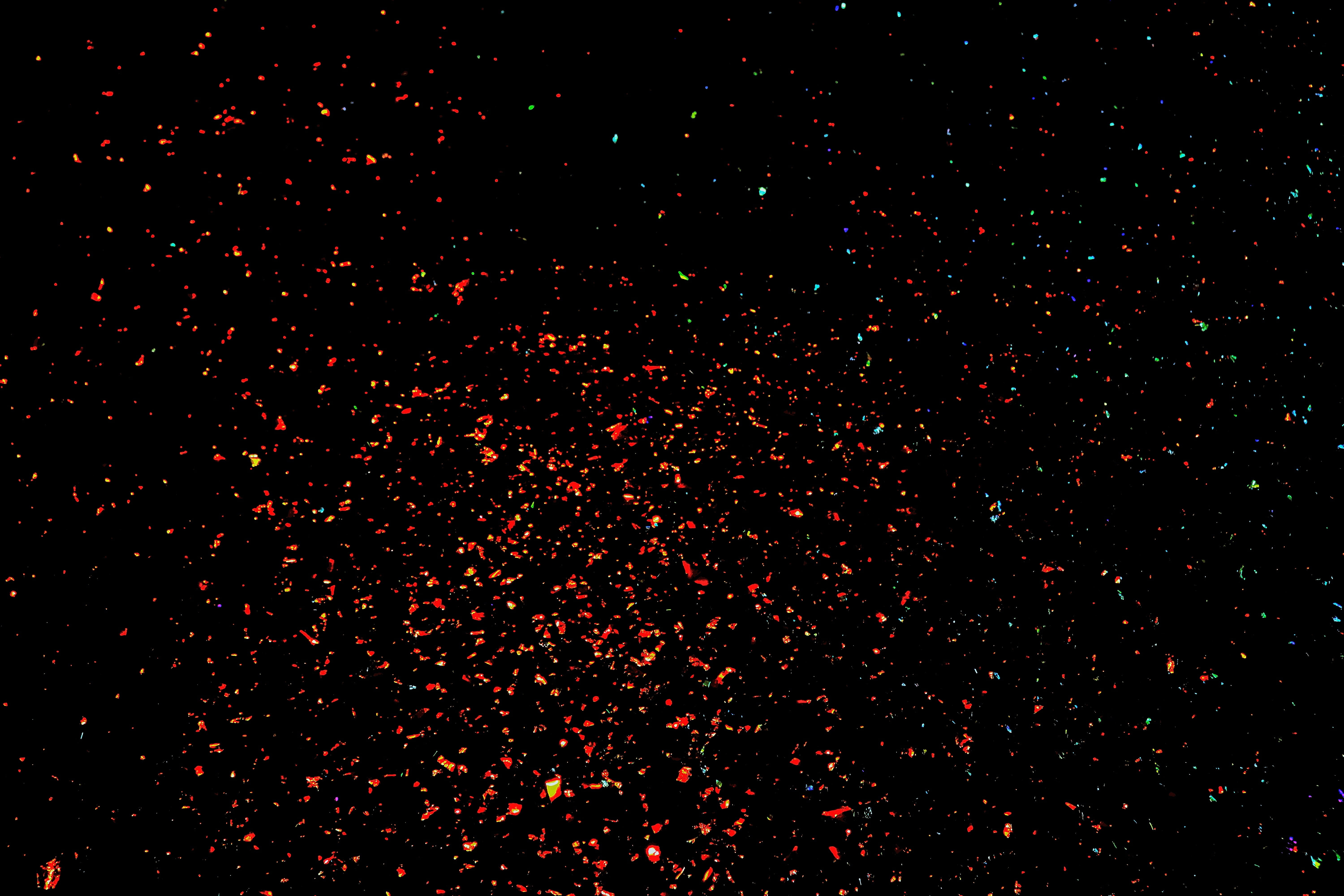 Sparkle Black And Red Glitter Background - musingsofthemiddleschoolminds