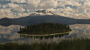forest on body of water near mountain under blue and white cloudy sky