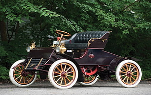 brown carriage, 1903 Cadillac, car, vintage, vehicle