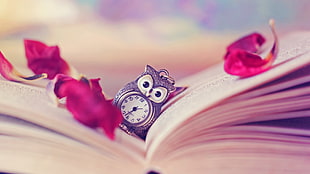 silver-colored owl clock, macro, books